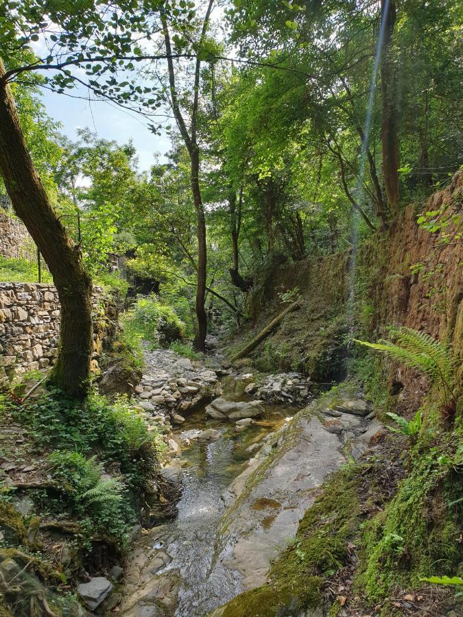 Collina E Mare Villa Camogli Luaran gambar
