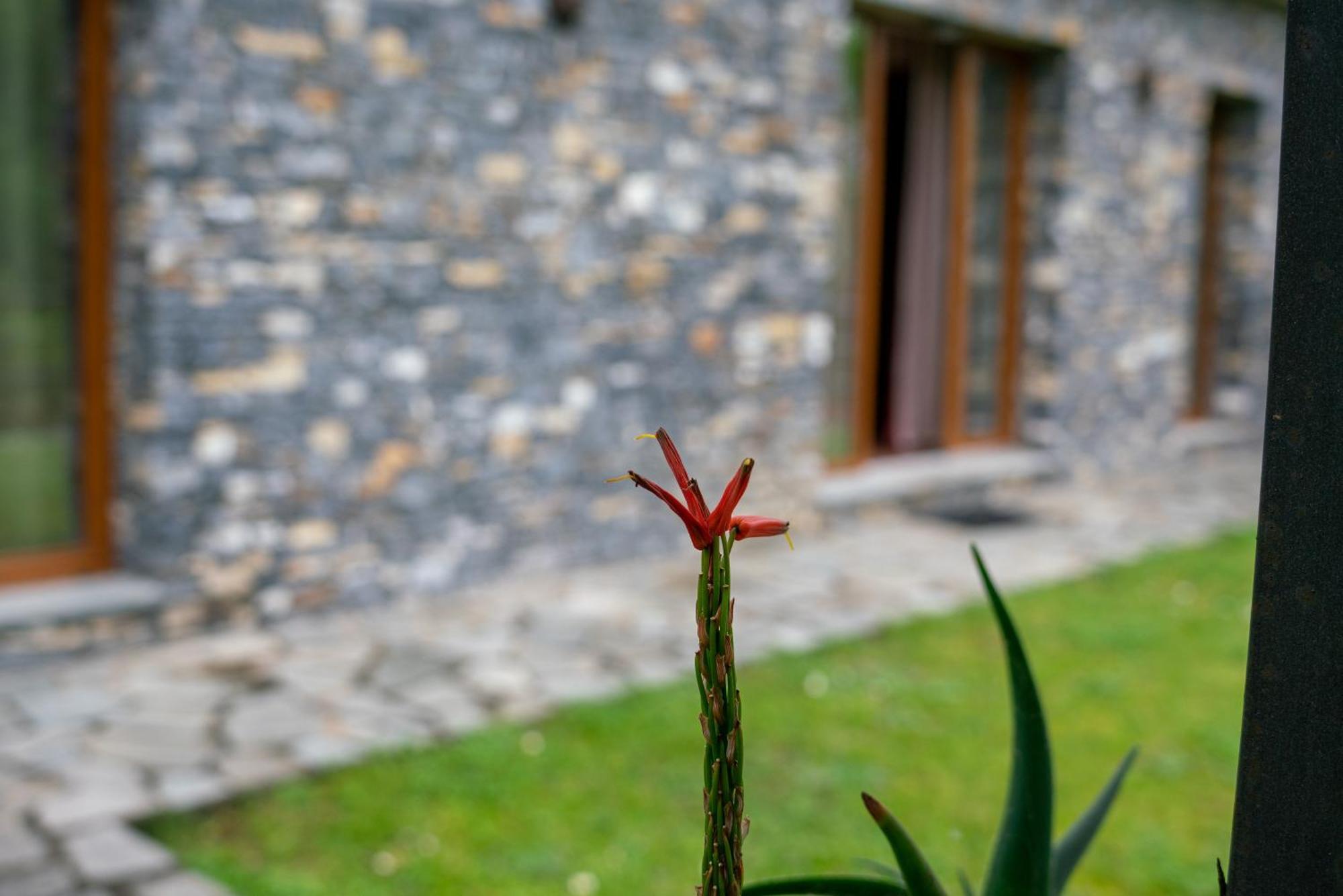 Collina E Mare Villa Camogli Luaran gambar